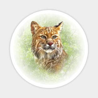 Lynx Magnet